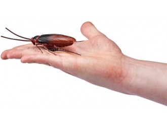 Jucarie interactiva ROBO ALIVE - Gandac