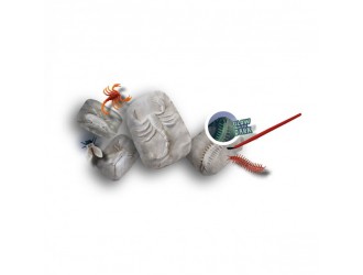Set educativ din seria "Explore" descopera schelete de insecte fosforescente SES CREATIVE