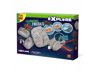 Set educativ din seria "Explore" descopera schelete de insecte fosforescente SES CREATIVE
