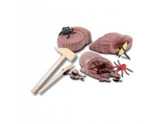 Set Seria Explorer - Excavarea insectelor fosilizate SES CREATIVE