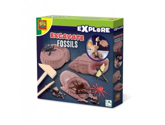 Set Seria Explorer - Excavarea insectelor fosilizate SES CREATIVE