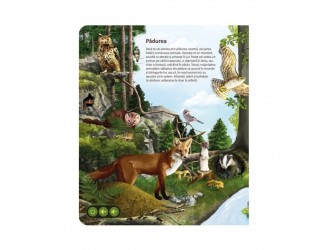 RASPUNDEL ISTETEL Carte interactiva LUMEA ANIMALELOR