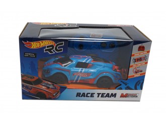 Masina cu R/C diverse modele HOT WHEELS 1:28 63253