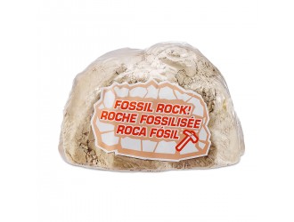 Set de joaca Dino Fossil Find ROBO ALIVE ZURU