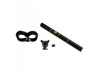 Set accesorii Miraculous Cat Noir