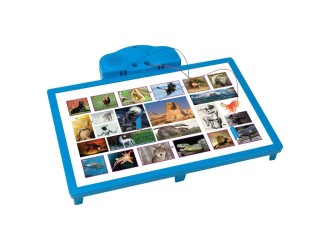 Noriel Games - Cine Stie Castiga - Regatul Animalelor