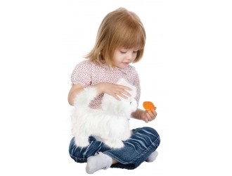 Noriel Pets - Pisica interctiva Cleo