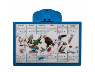 Noriel Cine stie, castiga! Senior Compact - Joc Electronic