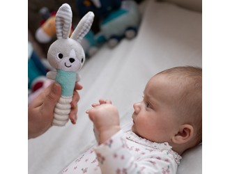 Jucarii teether - BANNY HEY