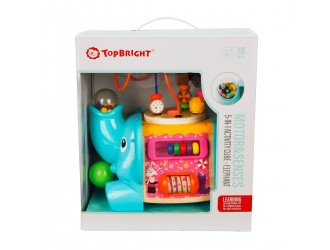  Cub din lemn 5 in 1 multifunctional cu activitati Elefant 28 x 27.2 x 19cm Top Bright