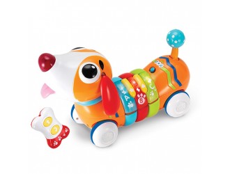 Jucarie interactiva Catelus-Curcubeu cu RC sunete si lumini Winfun