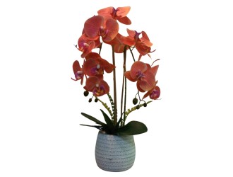 Orhidee artificiala piersic in ghiveci 53 cm PEVA, ZJA361817