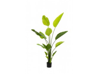 Planta artificiala Strelitzia Nicolai in ghiveci, 150cm, 13 frunze