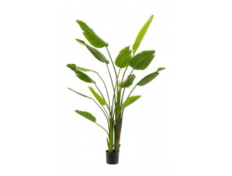Planta artificiala Strelitzia Nicolai in ghiveci, 180cm, 13 frunze