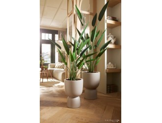 Planta artificiala Heliconia in ghiveci, 125cm, 22 frunze