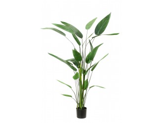 Heliconia artificiala in ghiveci, 175cm, 26 frunze