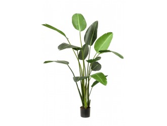 Planta artificiala Strelitzia in ghiveci, 230cm, 13 frunze