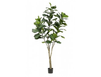 Ficus Lyrata artificial in ghiveci, 210cm, 89 frunze