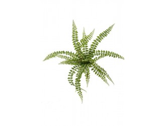 Tufa artificiala feriga Pellaea, 50cm, 18 frunze