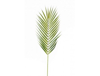 Ramura artificiala Chamaedorea, verde, 75cm