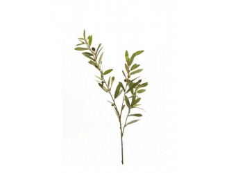 Ramura artificiala de maslin, 3 crengute, 80cm