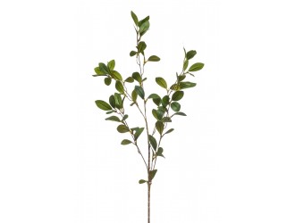 Ramura artificiala de Ruscus, 5 crengute, verde, 90cm
