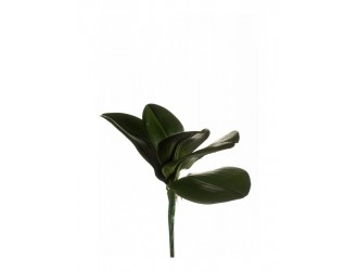 Tufa artificiala cu frunze de Phalaenopsis, 5 frunze, 25cm