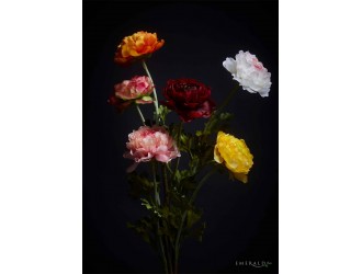 Floare artificiala Ranunculus tip spray, crem/roz, 50 cm