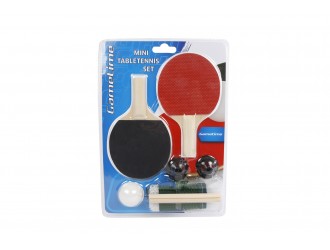 Set mini tenis de masa pentru copii Gametime - nivel Starter copii